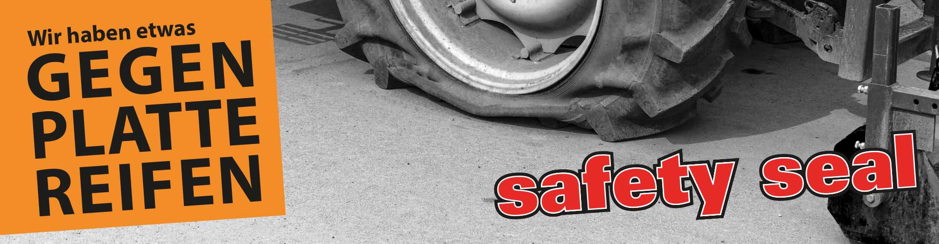 Logo safetyseal
