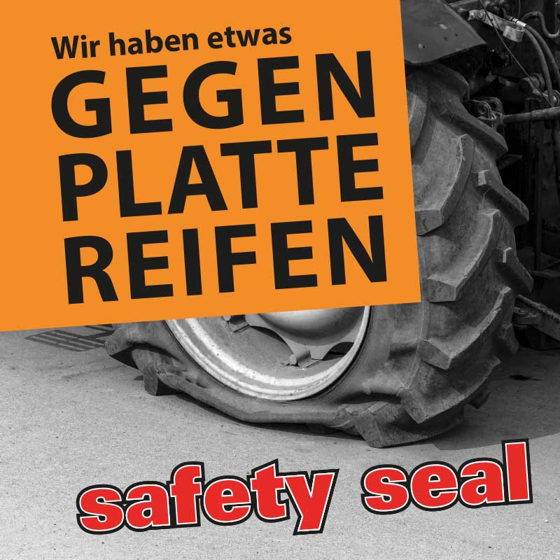 Logo safetyseal